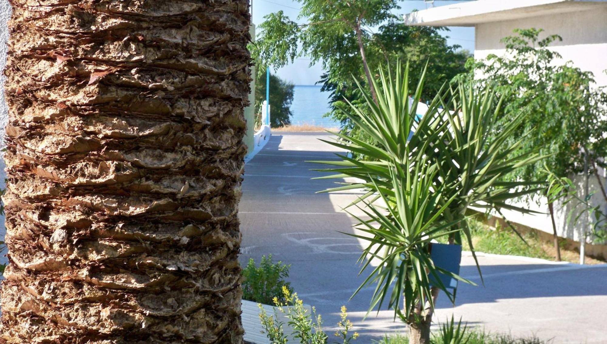 Aphrodite Samos Suites Marathokampos Ngoại thất bức ảnh