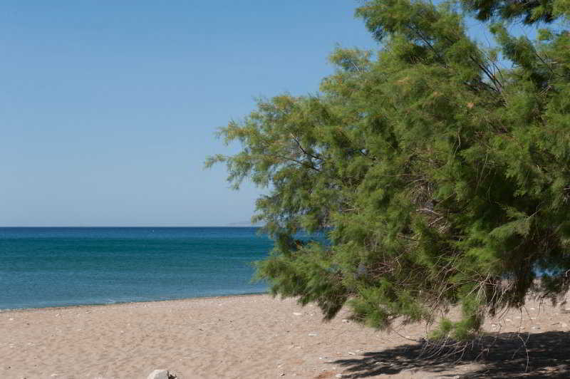 Aphrodite Samos Suites Marathokampos Ngoại thất bức ảnh